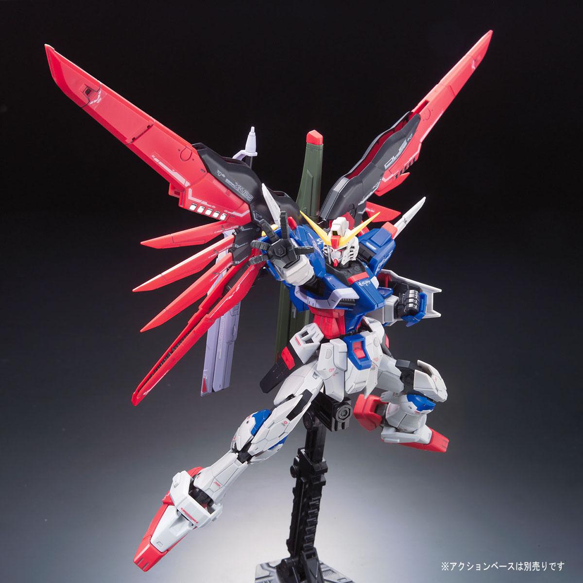 RG 1/144 #11 Destiny Gundam | 4573102616166