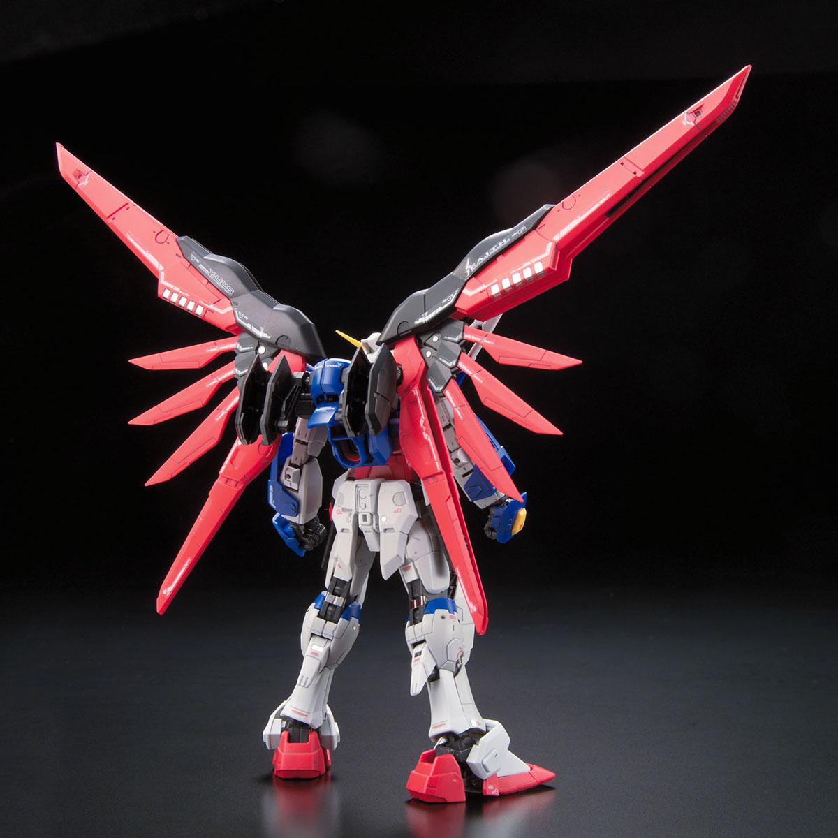 RG 1/144 #11 Destiny Gundam | 4573102616166