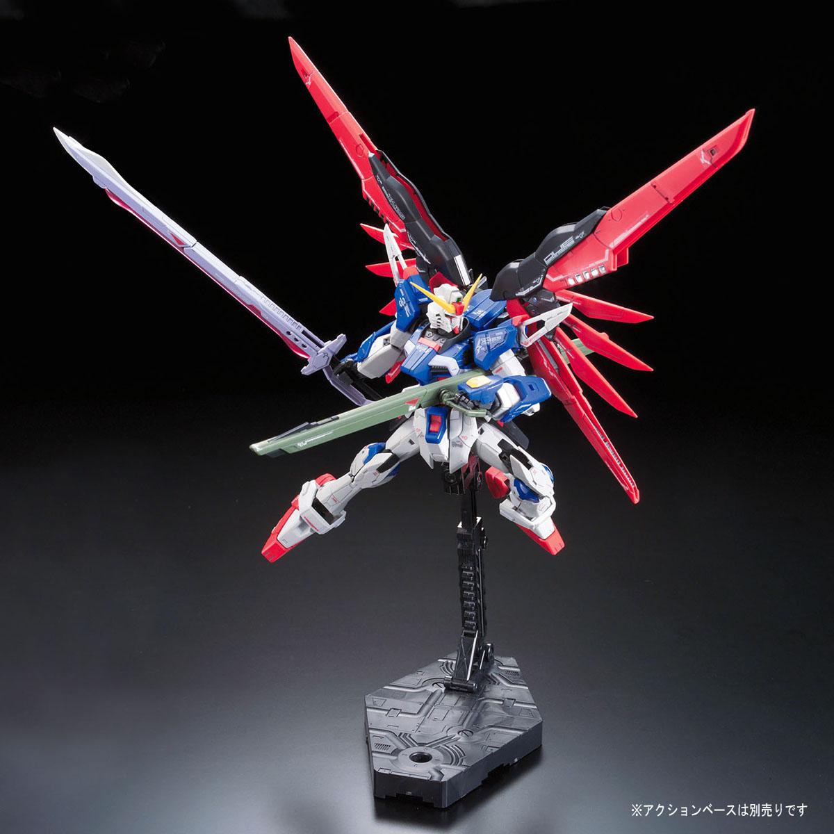 RG 1/144 #11 Destiny Gundam | 4573102616166