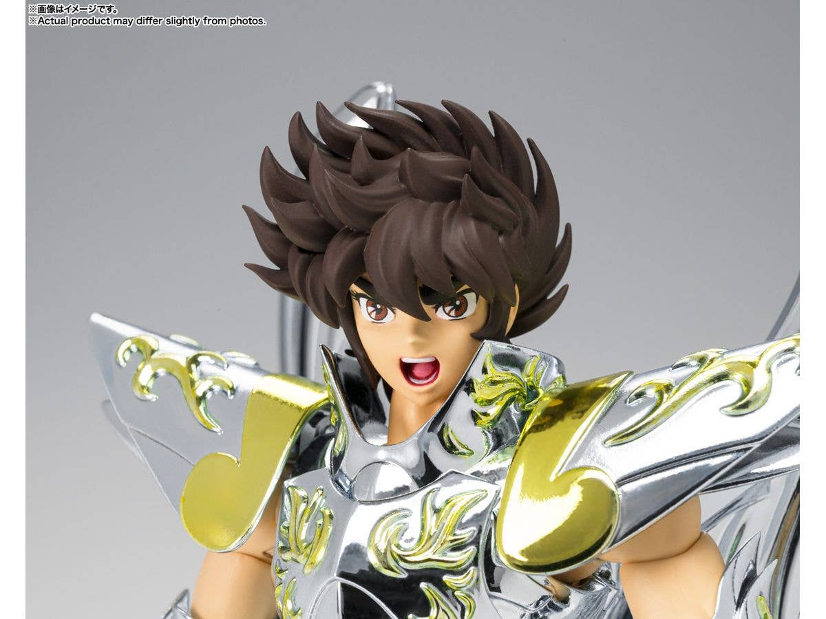 TAMASHII NATIONS PEGASUS SEIYA [GOD CLOTH] "SAINT SEIYA", TAMASHII NATIONS SAINT CLOTH MYTH EX | 4573102675071