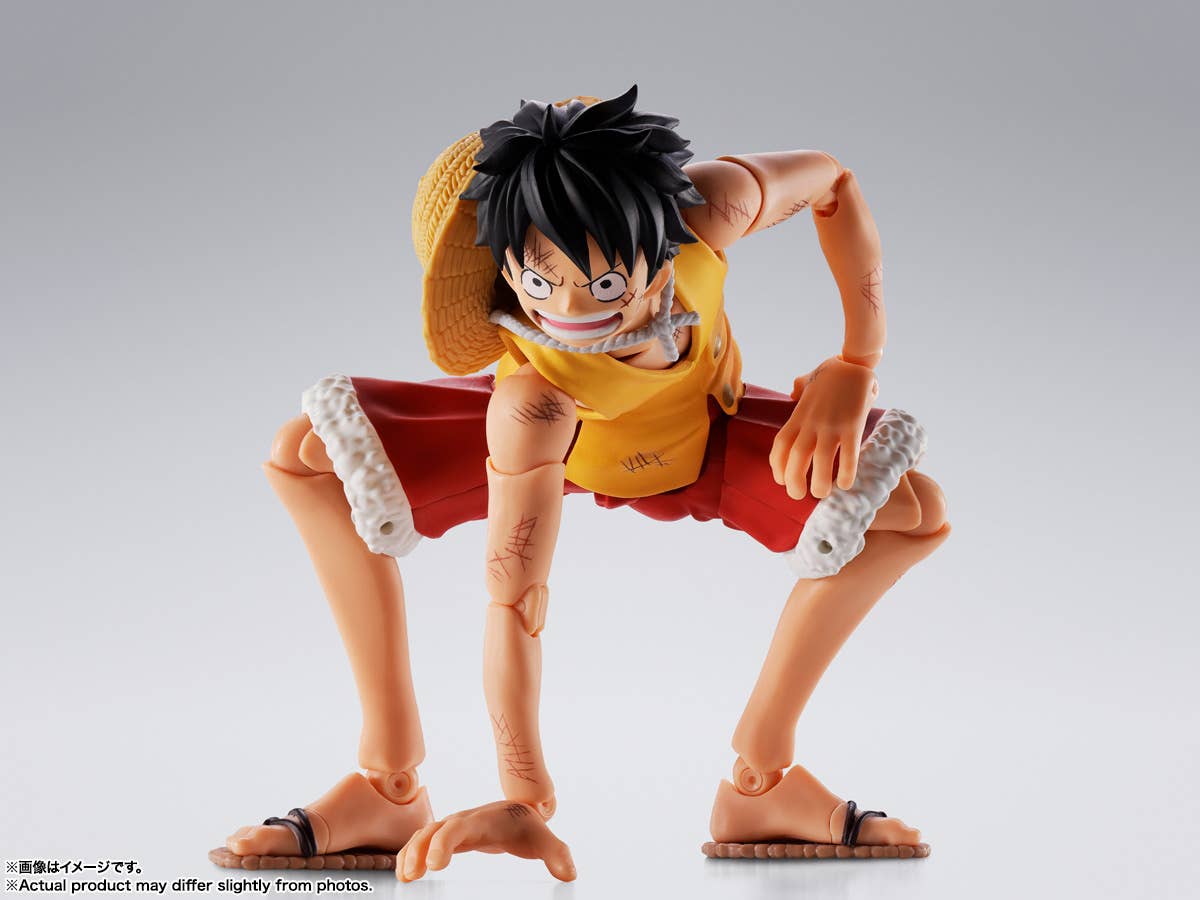 MONKEY D LUFFY -Summit War of Marineford- | 4573102692979