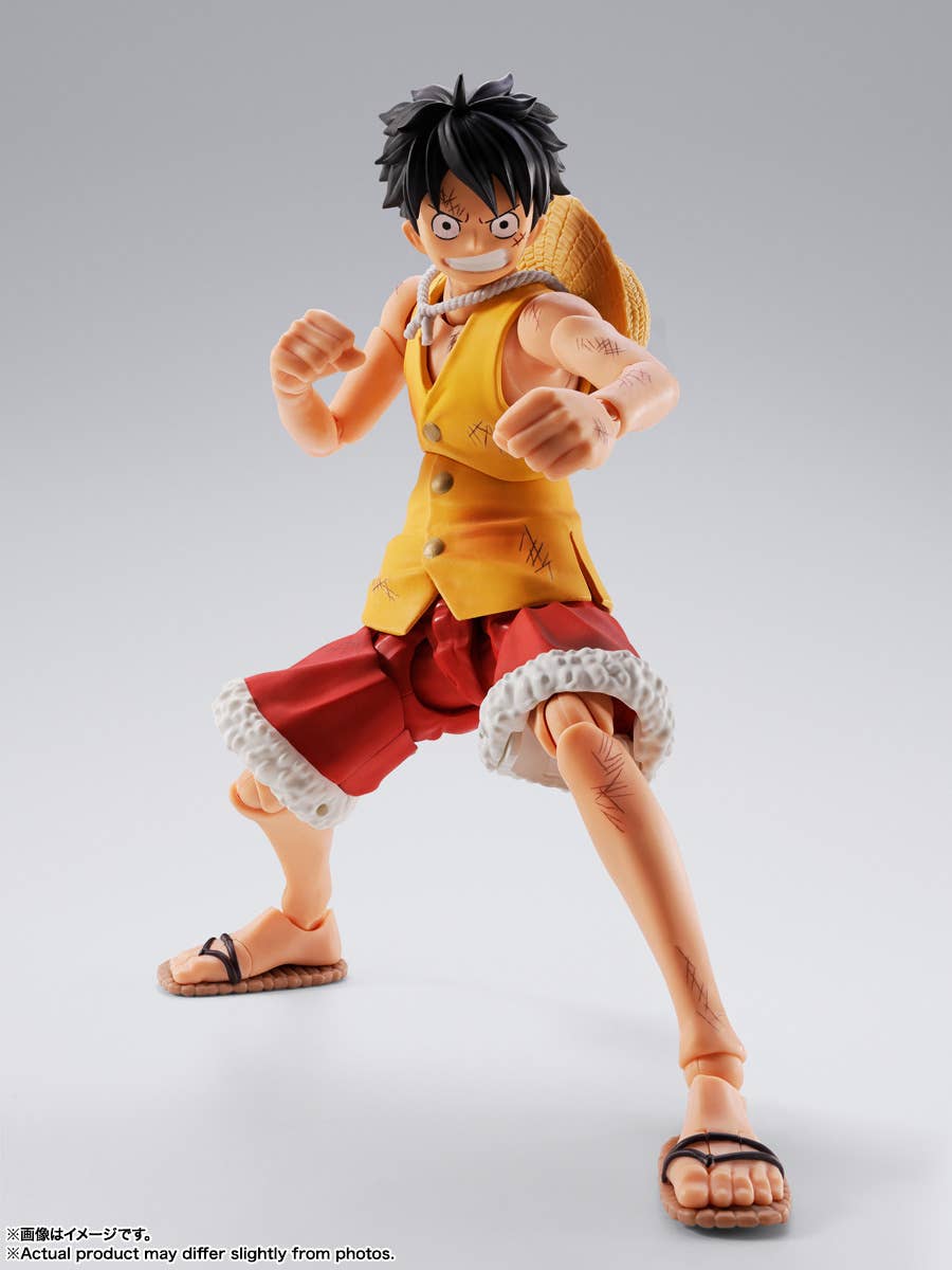 MONKEY D LUFFY -Summit War of Marineford- | 4573102692979