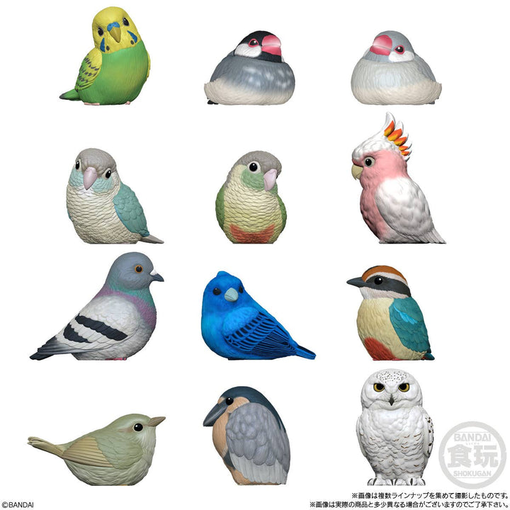 Bandai Shokugan Tenori Friends Tenori Friends 10 - Bird (Box/12) | 4570117910821