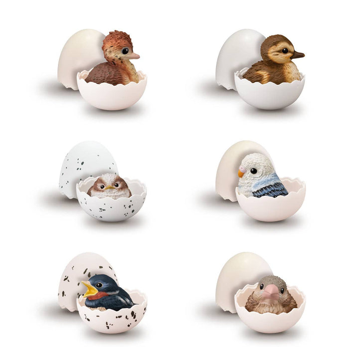 Tenori Baby Friends - Birds  (Box/12) | 4570117920615