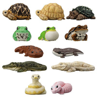 BANDAI Tenori Friends 12 (Box/12), Bandai Shokugan Friends | 4570117923760