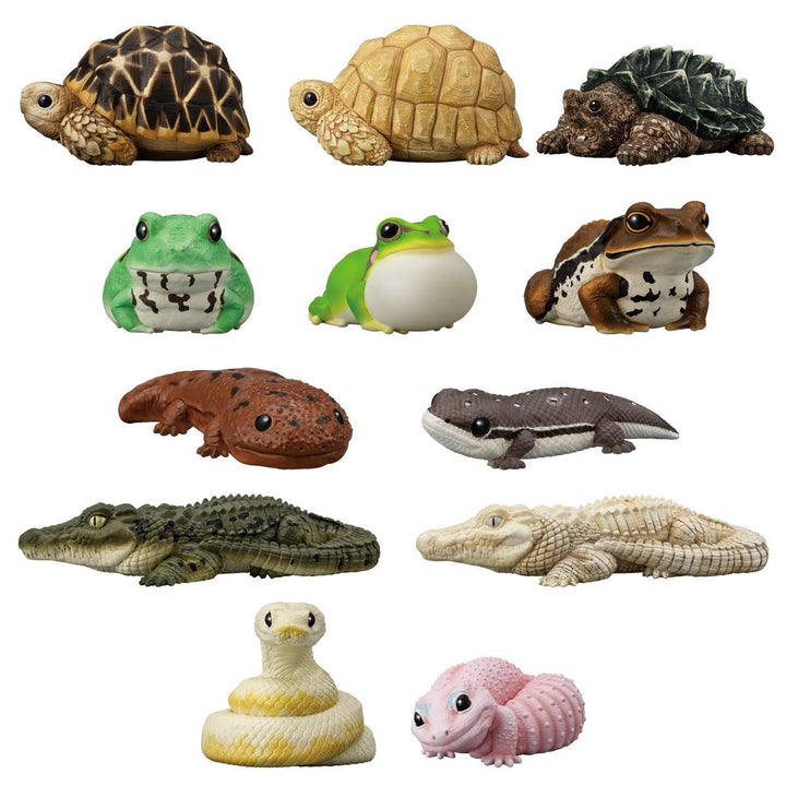 BANDAI Tenori Friends 12 (Box/12), Bandai Shokugan Friends | 4570117923760