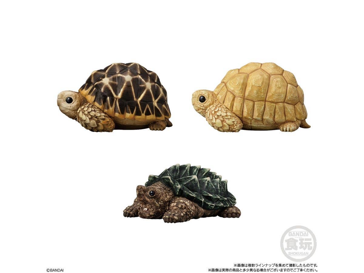 BANDAI Tenori Friends 12 (Box/12), Bandai Shokugan Friends | 4570117923760