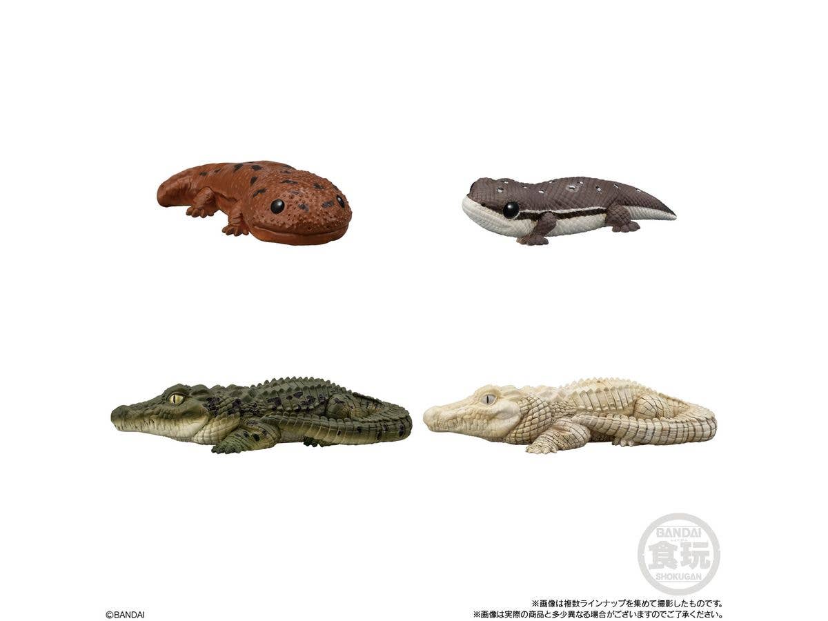 BANDAI Tenori Friends 12 (Box/12), Bandai Shokugan Friends | 4570117923760