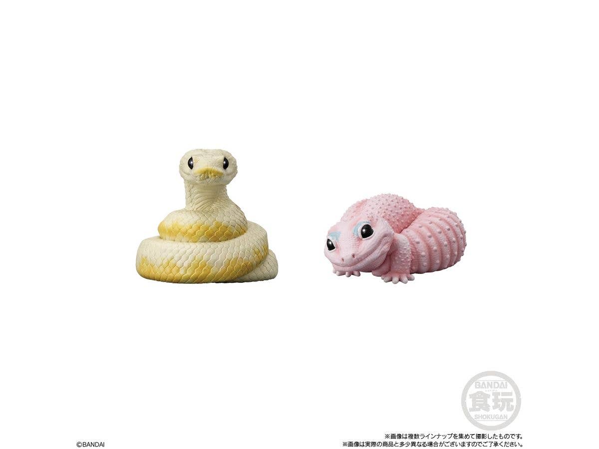 BANDAI Tenori Friends 12 (Box/12), Bandai Shokugan Friends | 4570117923760