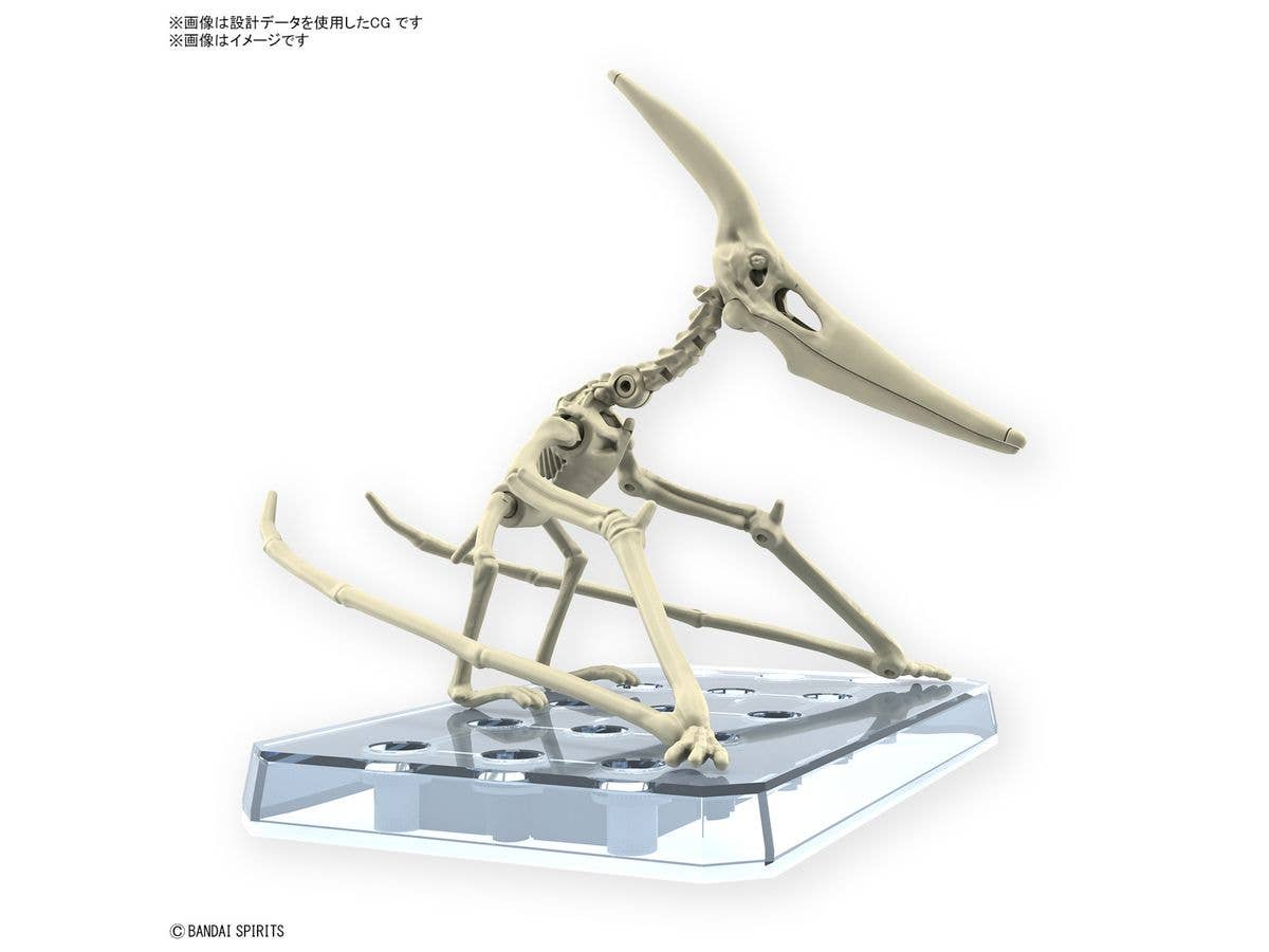 PLANNOSAURUS Pteranodon | 4573102662828