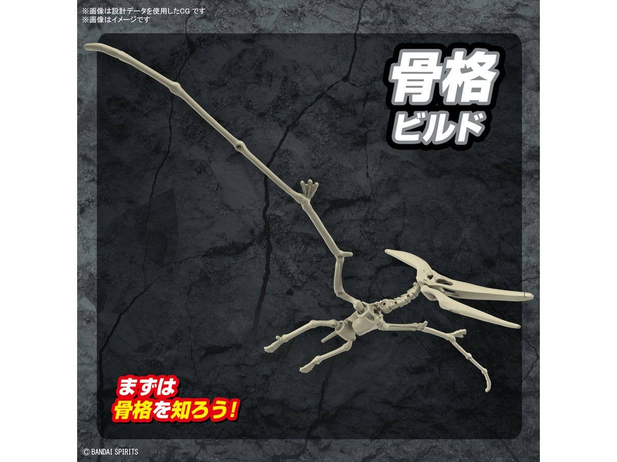 PLANNOSAURUS Pteranodon | 4573102662828