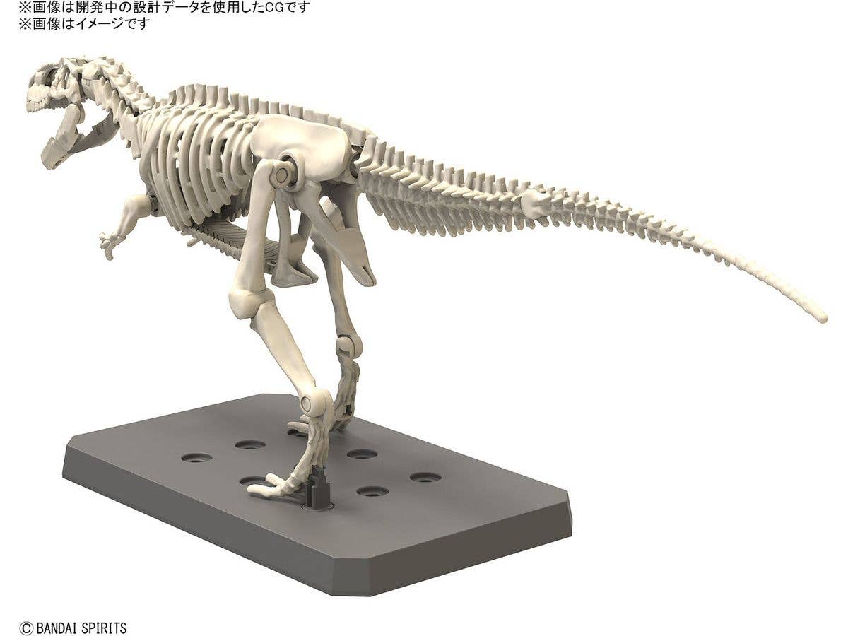 PLANNOSAURUS Giganotosaurus | 4573102663207