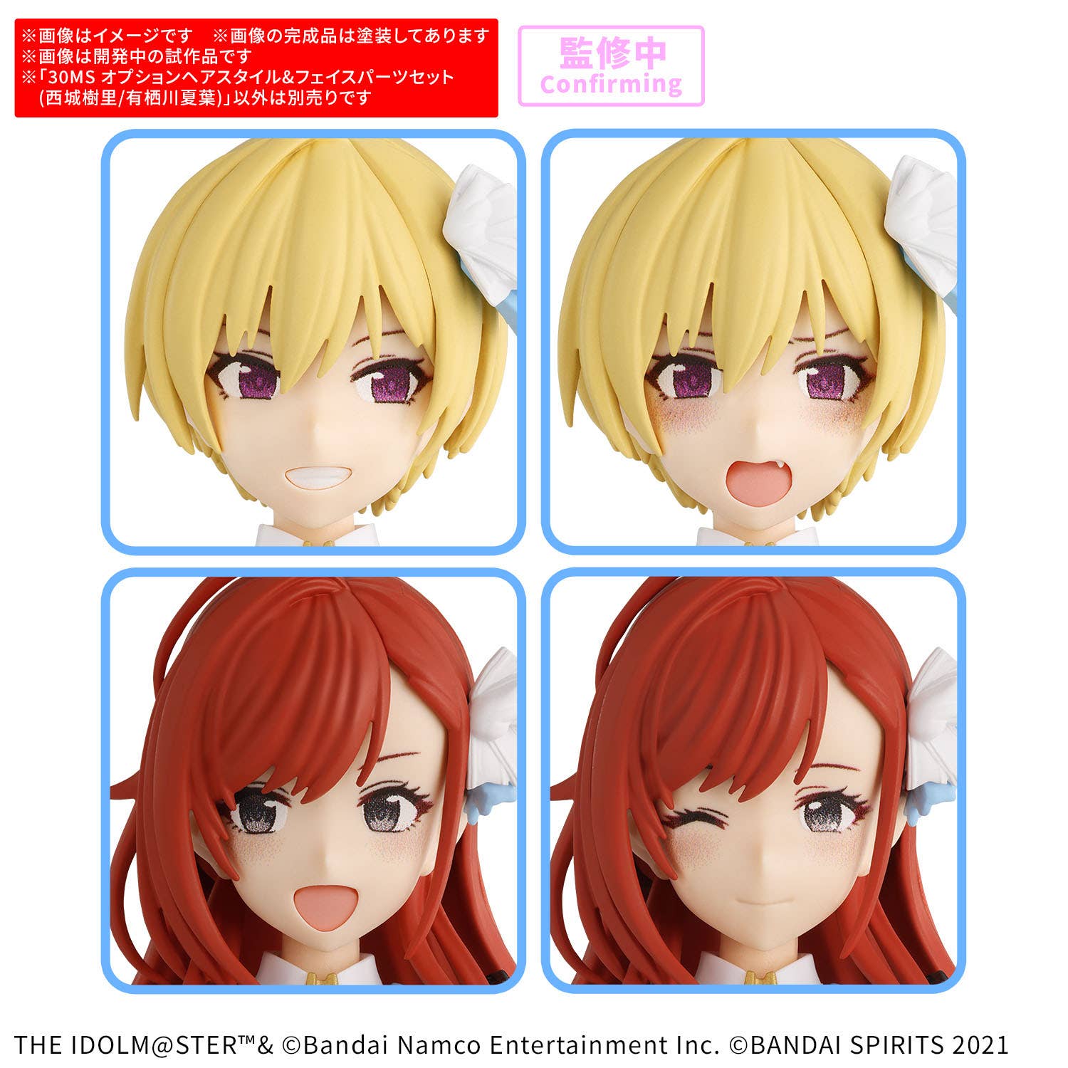 30MS OPTION HAIR STYLE &amp; FACE PARTS SET （JURI SAIJO/NATSUHA ARISUGAWA） | 4573102725240