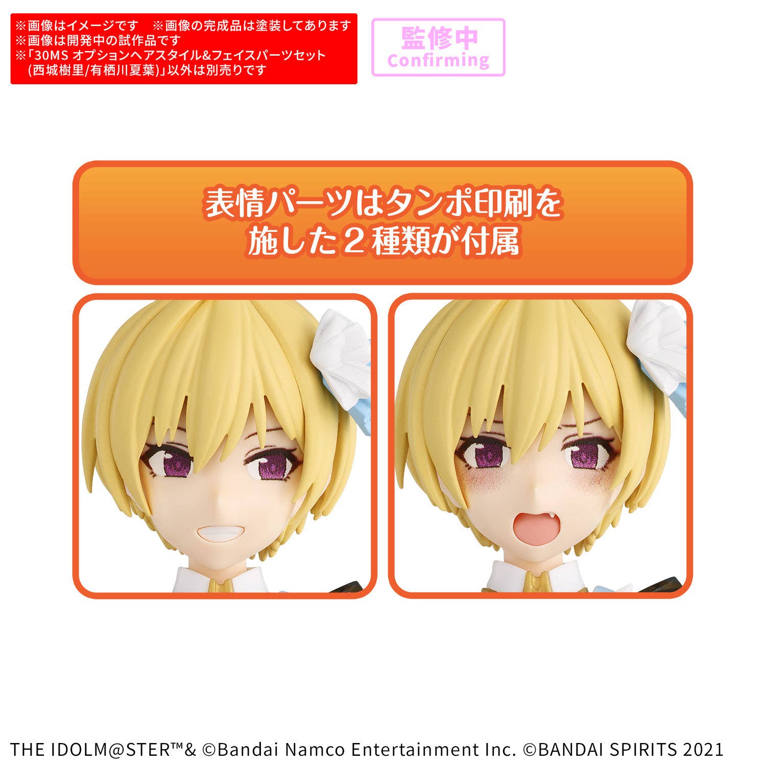 30MS OPTION HAIR STYLE &amp; FACE PARTS SET （JURI SAIJO/NATSUHA ARISUGAWA） | 4573102725240