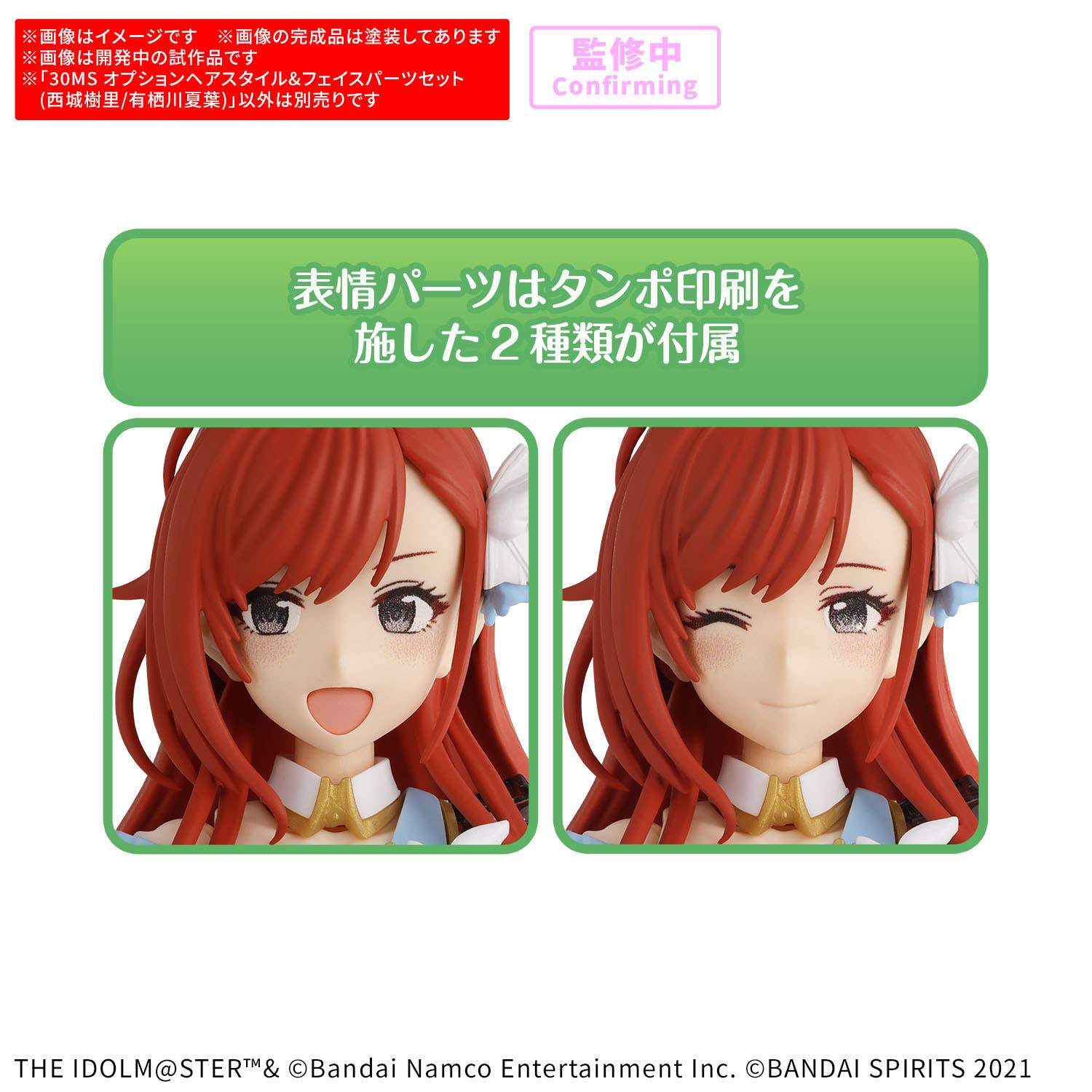 30MS OPTION HAIR STYLE &amp; FACE PARTS SET （JURI SAIJO/NATSUHA ARISUGAWA） | 4573102725240