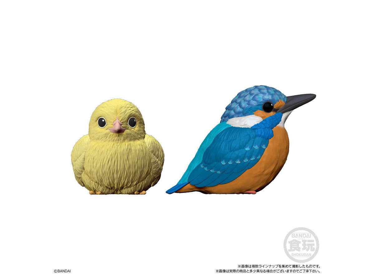 BANDAI Tenori Friends 4 Birds  (Box/12), Bandai Shokugan Tenori Friends | 4549660628286