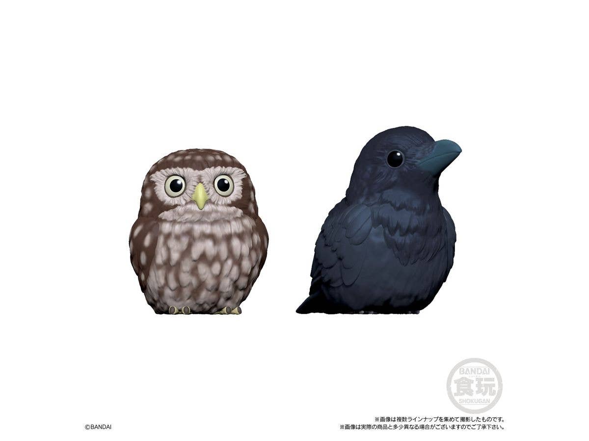 BANDAI Tenori Friends 4 Birds  (Box/12), Bandai Shokugan Tenori Friends | 4549660628286