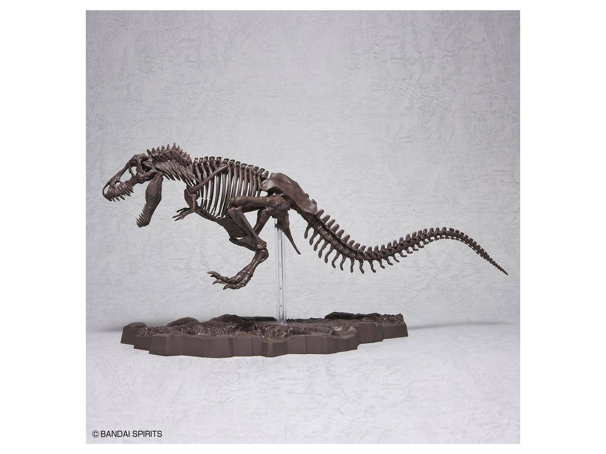 1/32 Imaginary Skeleton Tyrannosaurus | 4573102618009