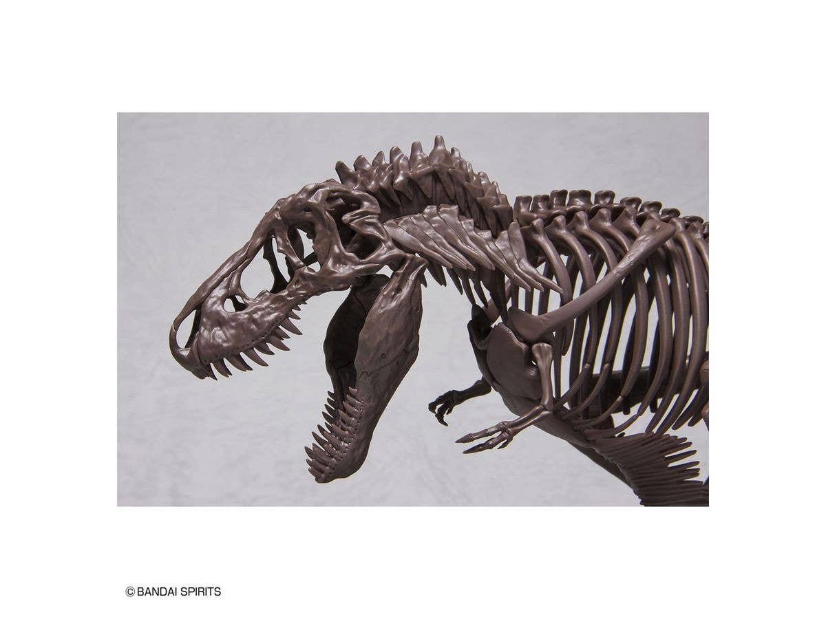 1/32 Imaginary Skeleton Tyrannosaurus | 4573102618009