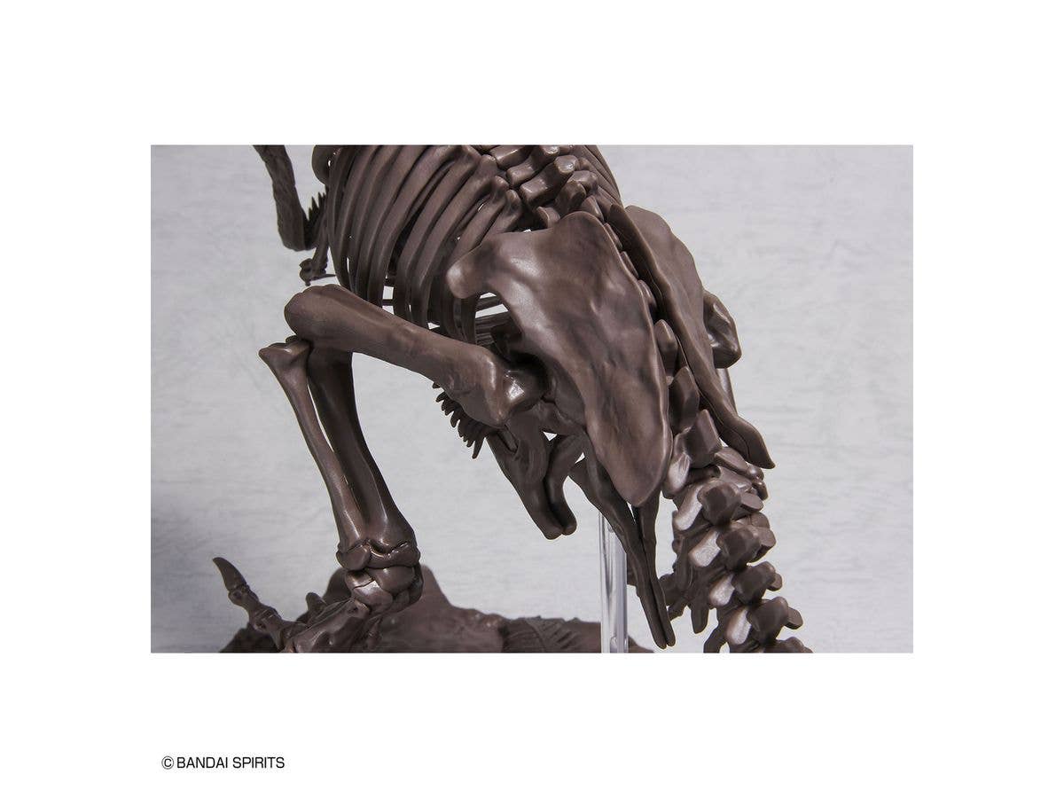 1/32 Imaginary Skeleton Tyrannosaurus | 4573102618009