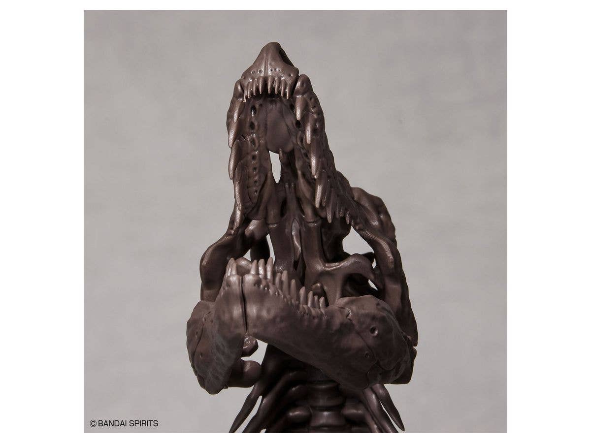 1/32 Imaginary Skeleton Tyrannosaurus | 4573102618009