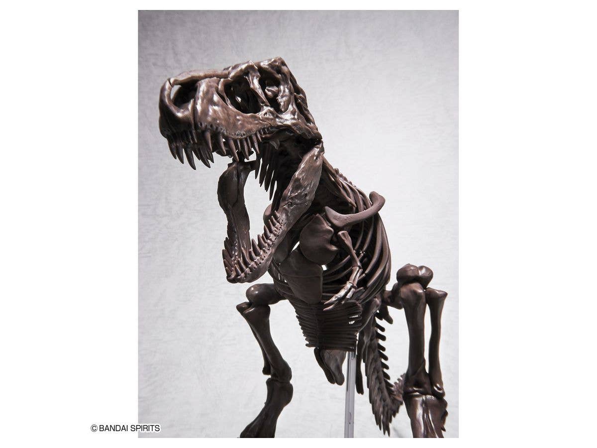 1/32 Imaginary Skeleton Tyrannosaurus | 4573102618009