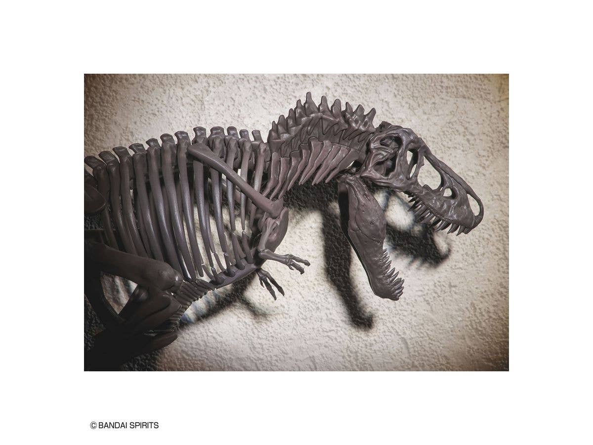 1/32 Imaginary Skeleton Tyrannosaurus | 4573102618009