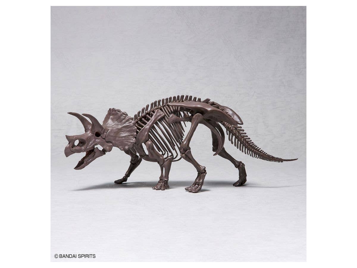 1/32 Imaginary Skeleton Triceratops | 4573102618016