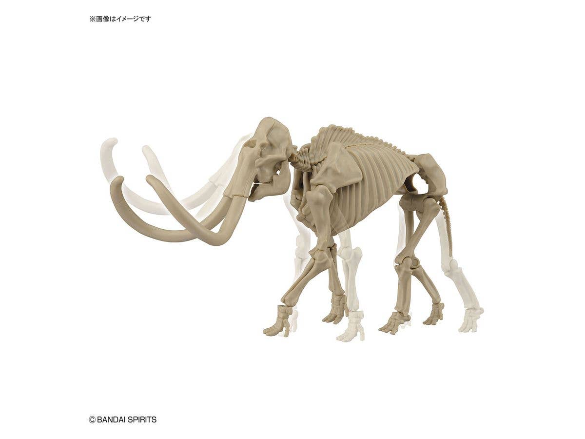 Exploring Lab Nature Mammoth | 4573102621795