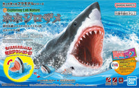 Bandai Great White Shark "Explore Lab Nature" | 4573102633927