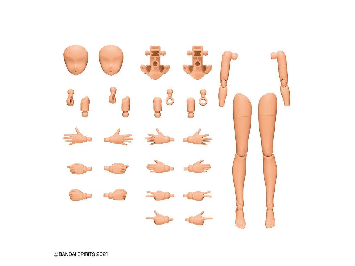 30MS OPTION BODY PARTS ARM PARTS & LEG PARTS [COLOR C] | 4573102639431