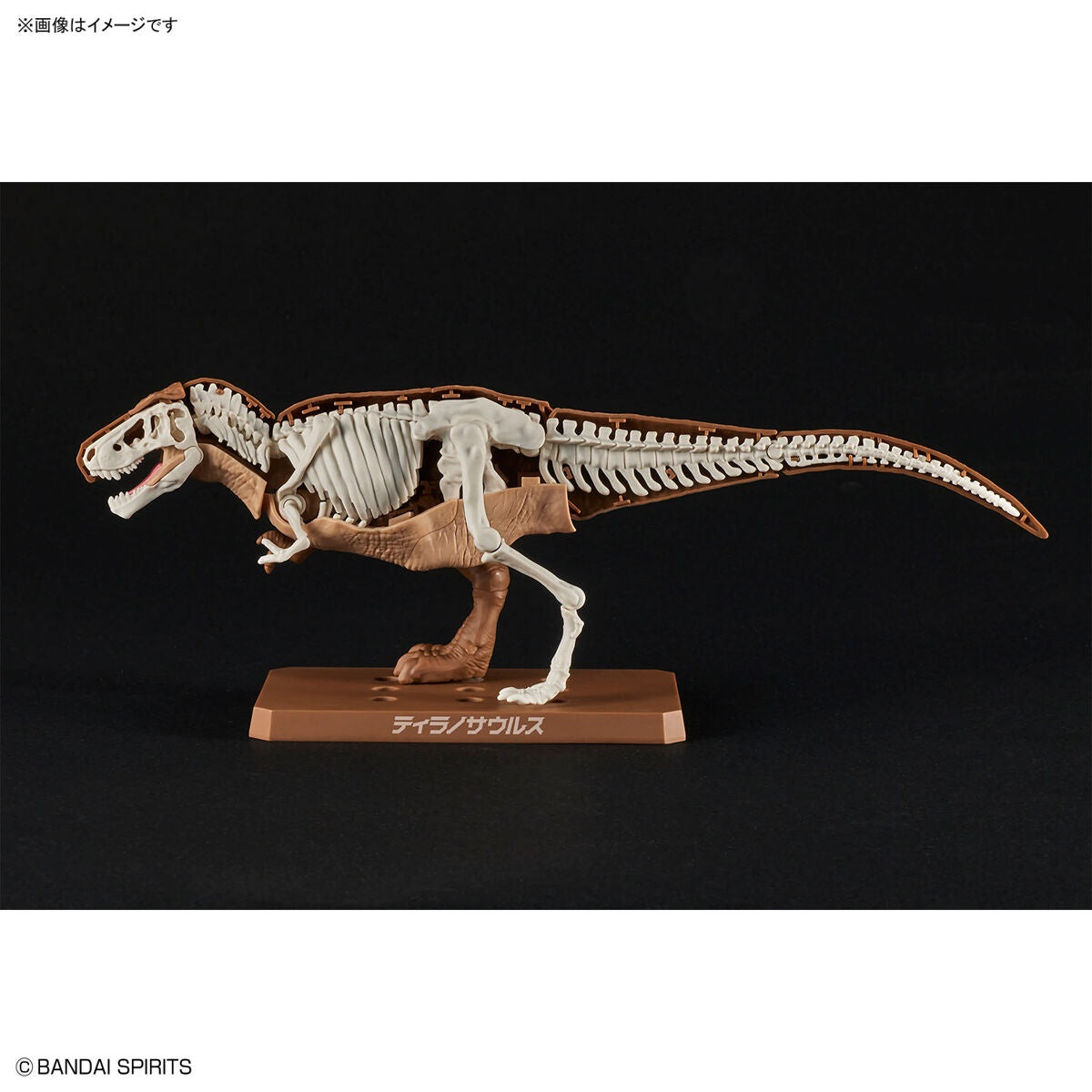 BANDAI Hobby New Dinosaur Plastic Model Kit Brand Tyrannosaurus
