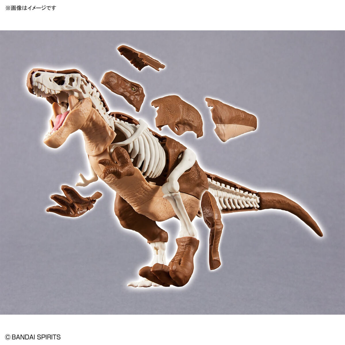BANDAI Hobby New Dinosaur Plastic Model Kit Brand Tyrannosaurus