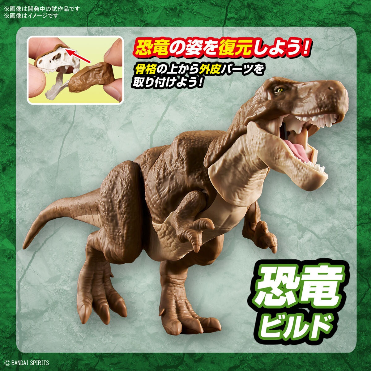 BANDAI Hobby New Dinosaur Plastic Model Kit Brand Tyrannosaurus