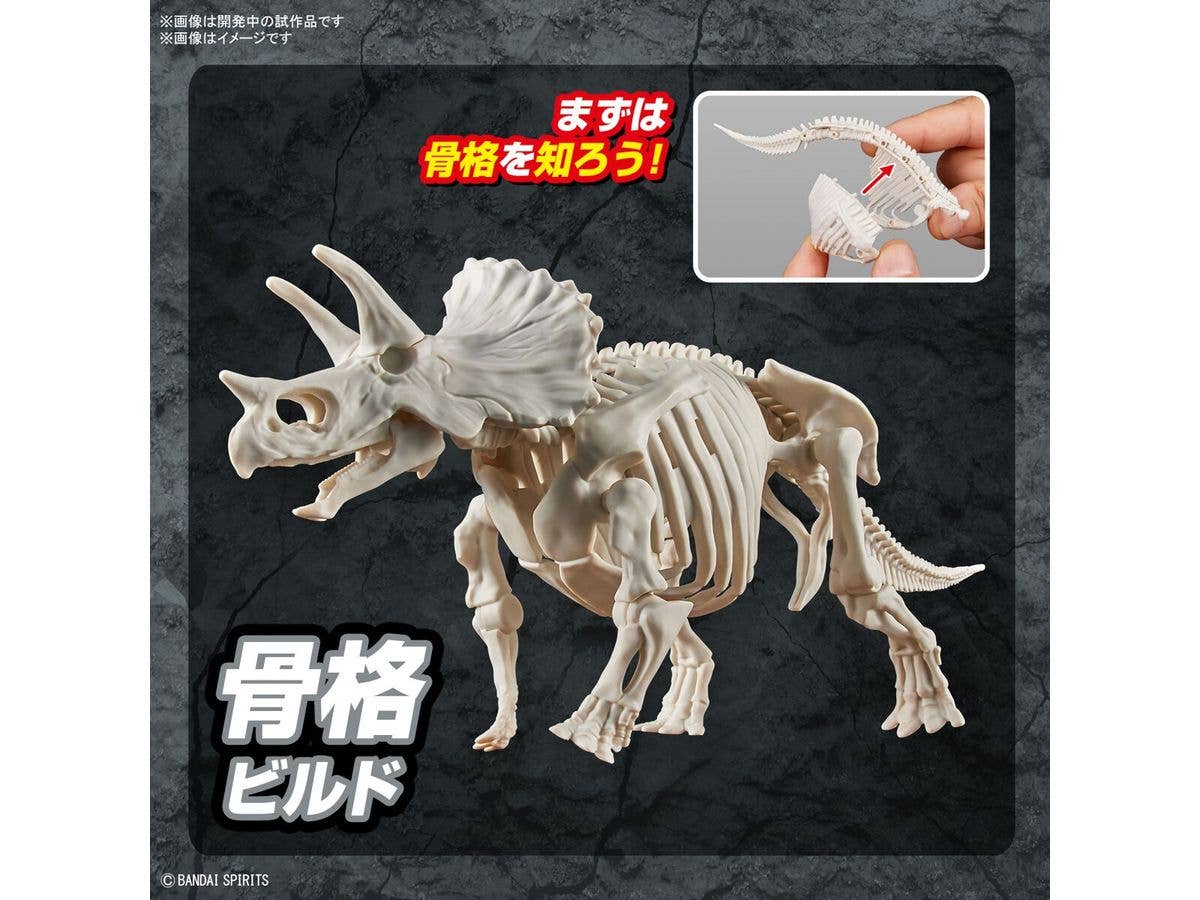 New Dinosaur Plastic Model Kit Brand Triceratops | 4573102642639