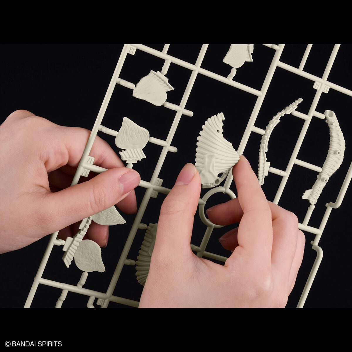 BANDAI Hobby New Dinosaur Plastic Model Kit Brand Stegosaurus