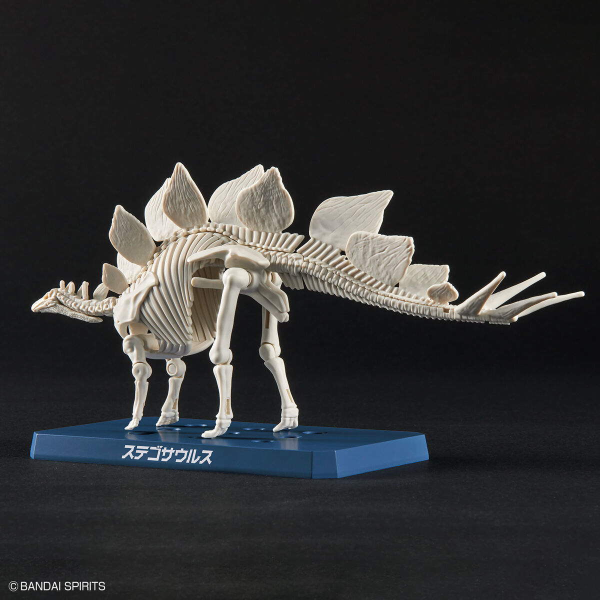 BANDAI Hobby New Dinosaur Plastic Model Kit Brand Stegosaurus