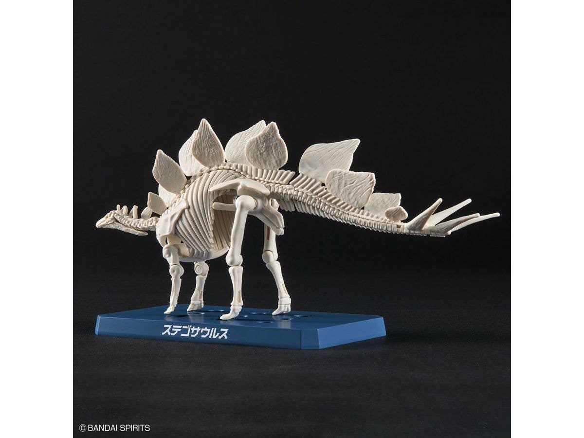 New Dinosaur Plastic Model Kit Brand Stegosaurus | 4573102651105