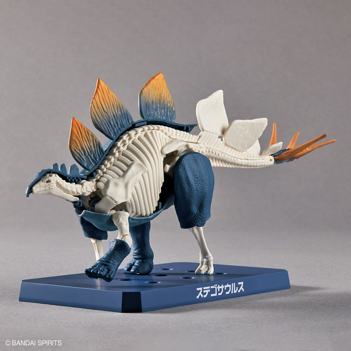 BANDAI Hobby New Dinosaur Plastic Model Kit Brand Stegosaurus