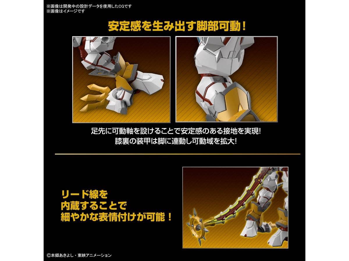 BANDAI Figure-rise Standard Amplified SHINEGREYMON | 4573102653246