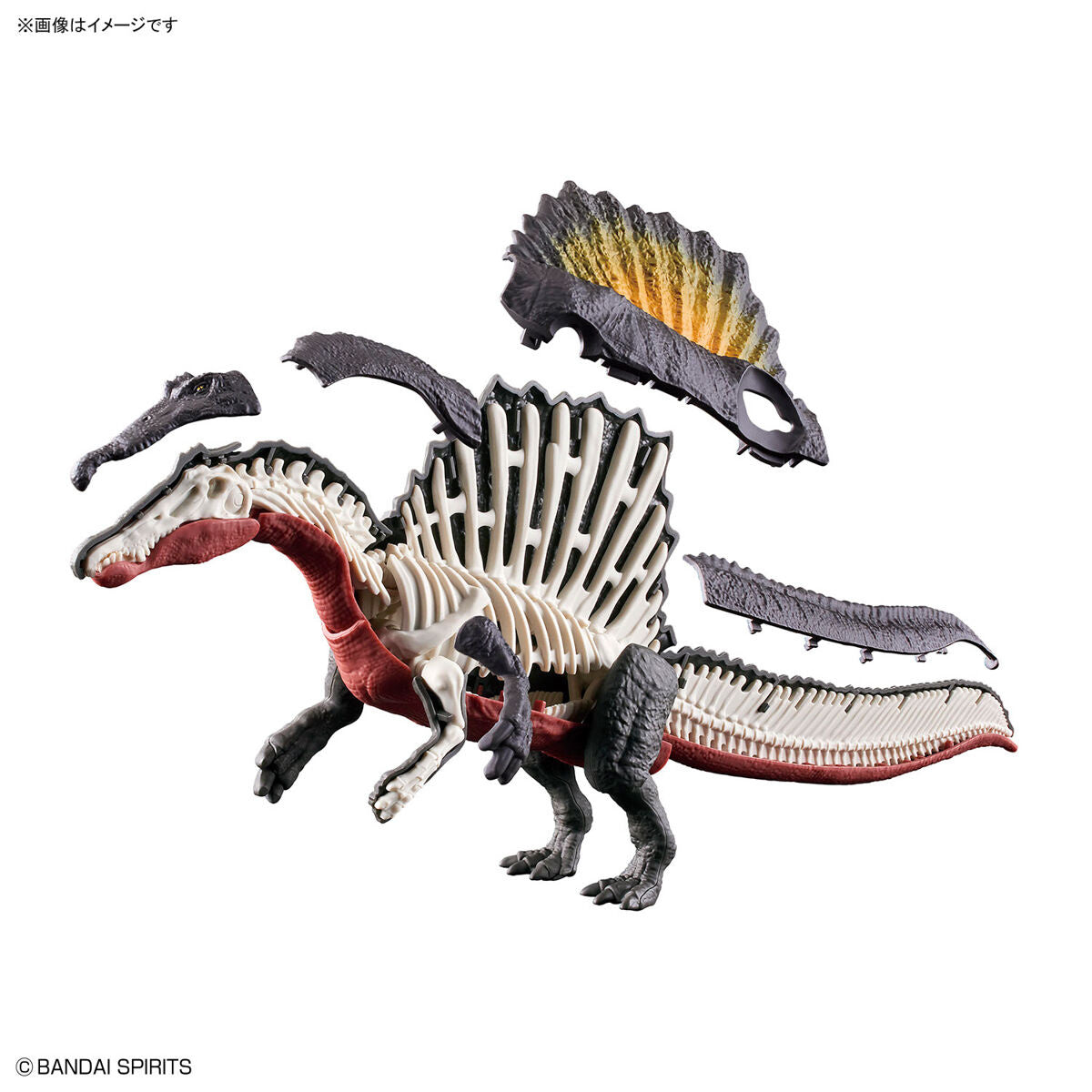 BANDAI Hobby PLANNOSAURUS Spinosaurus