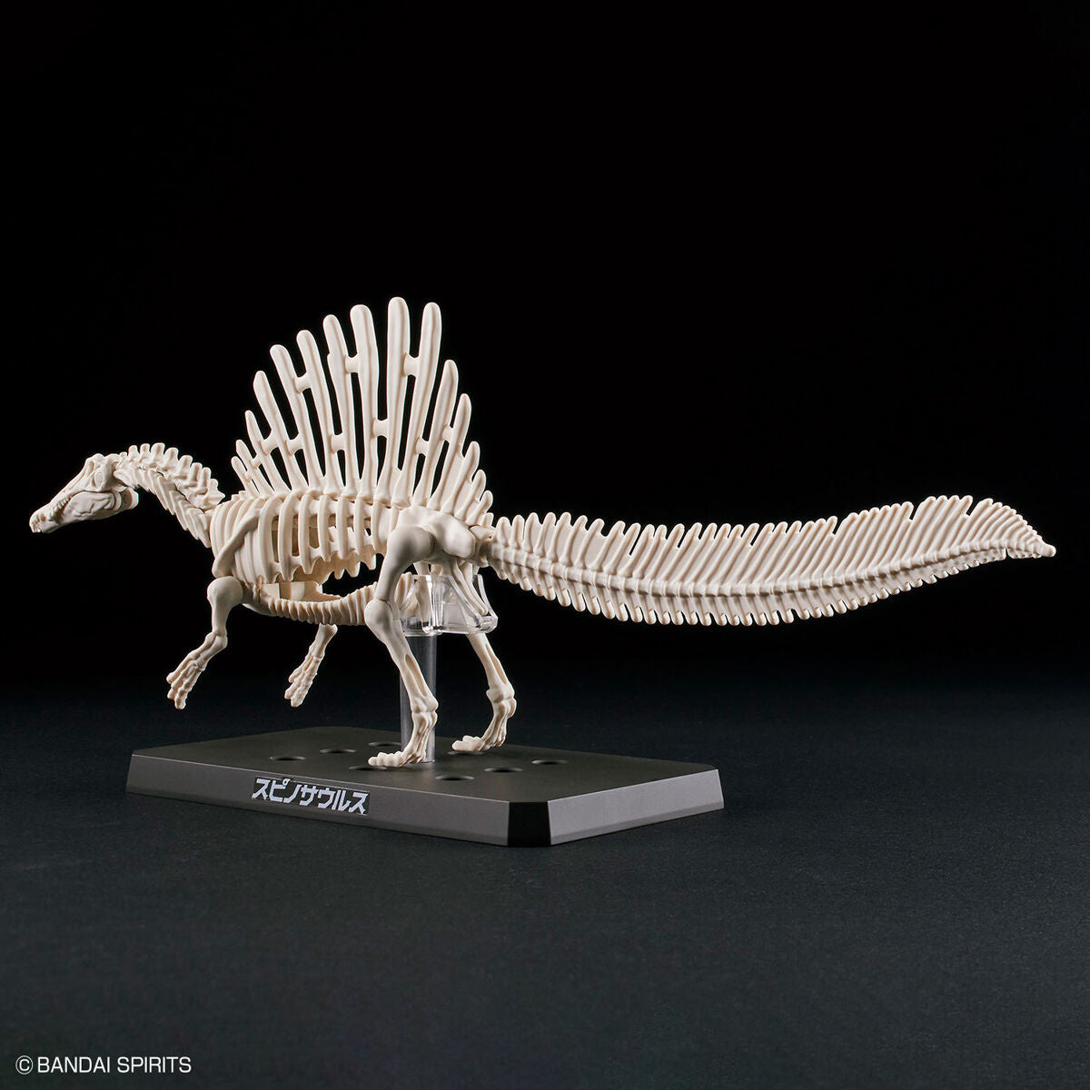 BANDAI Hobby PLANNOSAURUS Spinosaurus