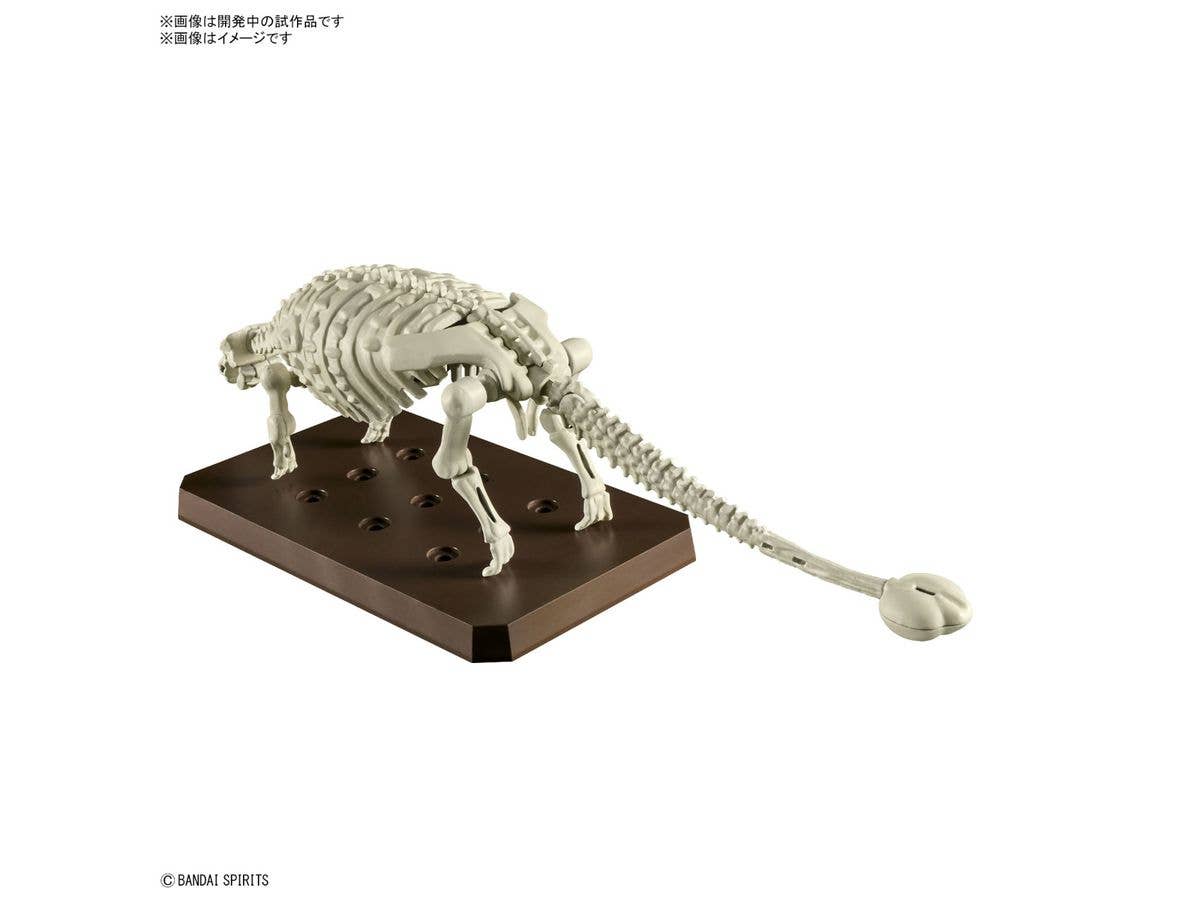 PLANNOSAURUS Ankylosaurus | 4573102657022