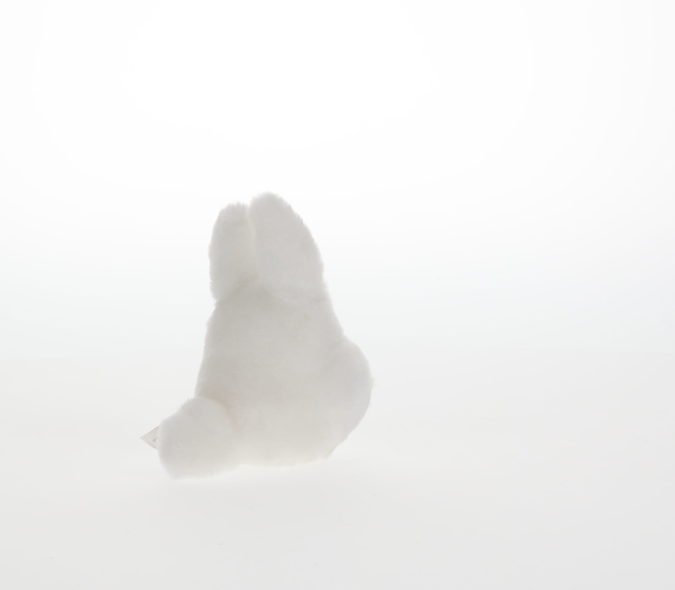 Small White Totoro Beanbag (S) "My Neighbor Totoro" | 045557144548