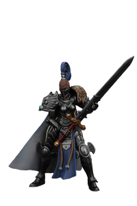 JOYTOY Sisters of Silence Argent Lynx Vigilator Cadre Vigilator 2 | 6927054400843