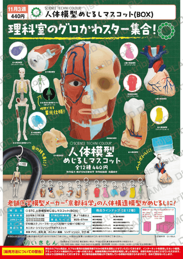 STC Human Anatomy Marker Charm (BOX) (Box of 12)