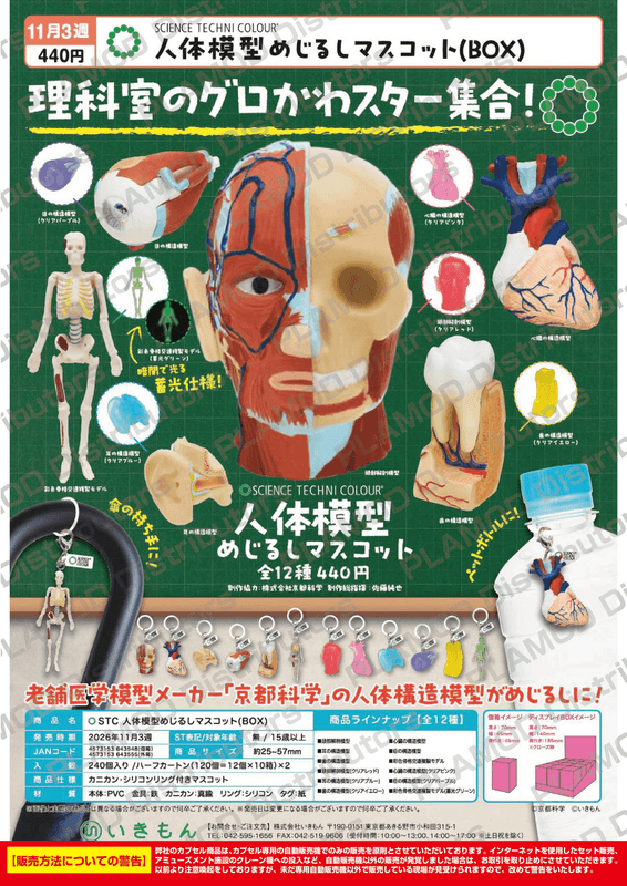 STC Human Anatomy Marker Charm (BOX) (Box of 12)