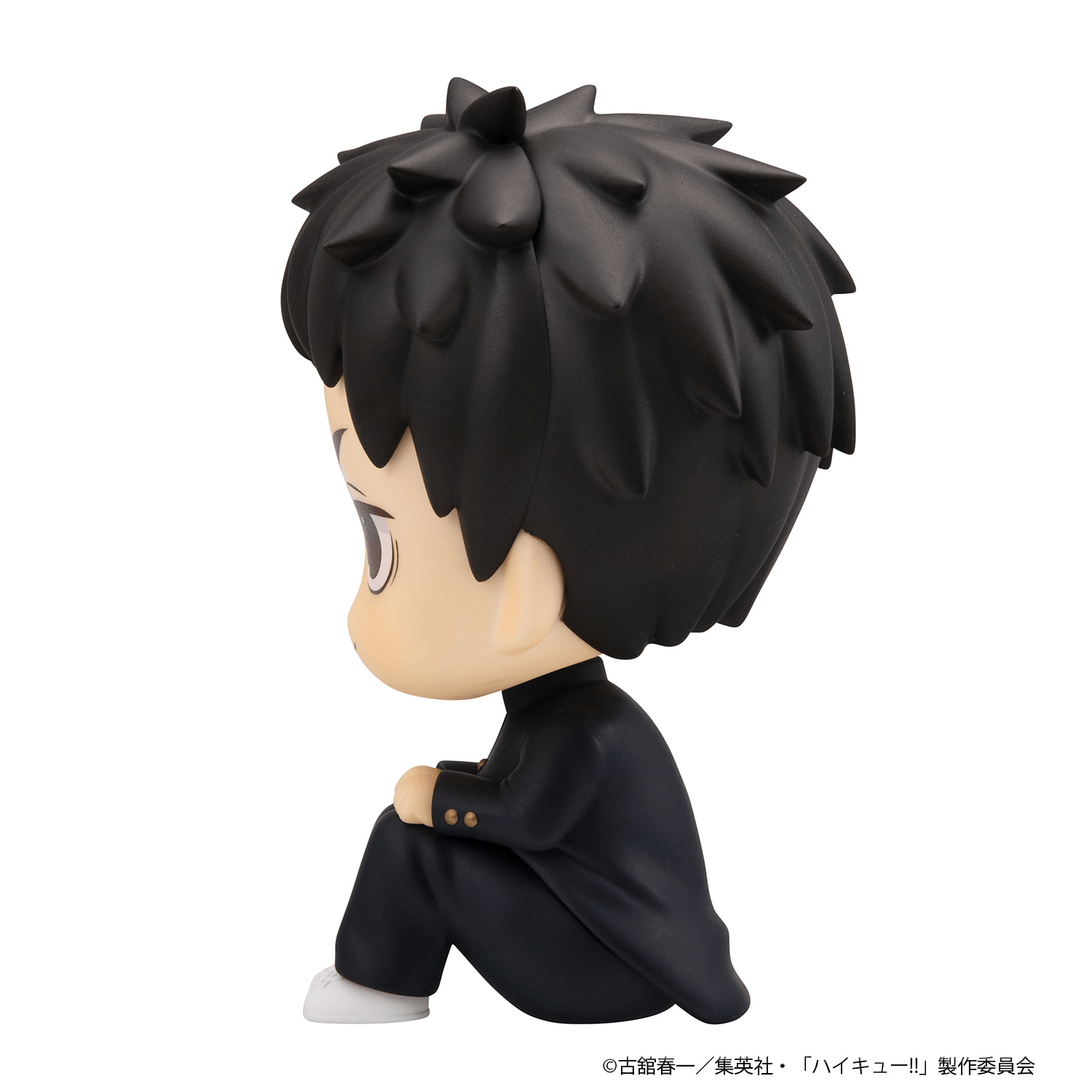 Lookup Haikyu!! Daichi Sawamura | 4535123851001