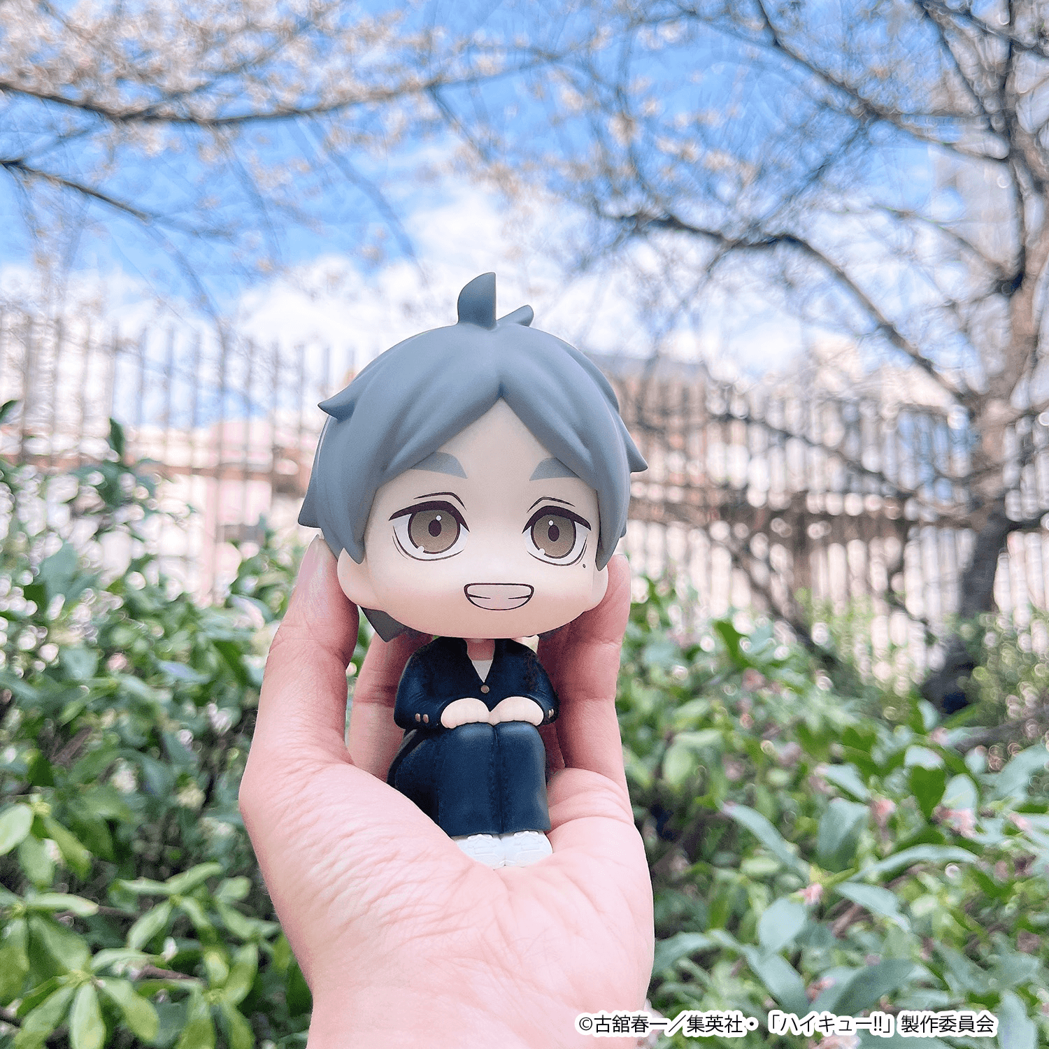 Lookup Haikyu!! Koushi Sugawara | 4535123851018