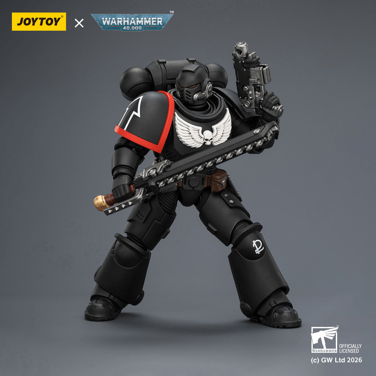 Raven Guard Intercessor with Bolt Rifle, Bolt Pistol and Chainsword | 6927054403899